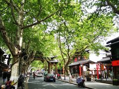 -孙奶奶葱包桧