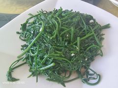 -八仔大富楼·河鲜(西江店)