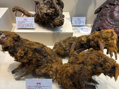 -广东中医药博物馆