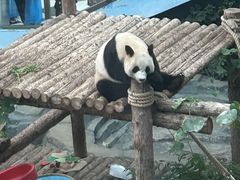 -大连森林动物园