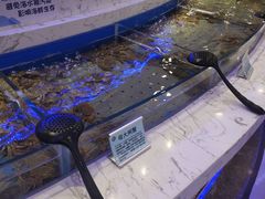 -澜悦港海鲜体验主题餐厅