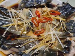 -煲来饱去冷水鱼