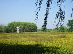 -长兴太湖图影湿地文化园