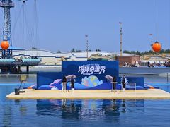 -秦皇岛乐岛海洋王国