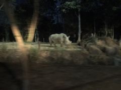-清迈夜间动物园