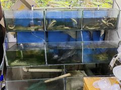 -湖南人家湘菜馆(镇江路店)