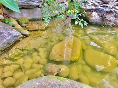 -绣园·茶食宴(湘绣博物馆店)