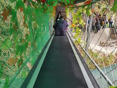 -明堂山风景区