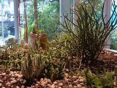 -春树下·树屋花房西餐厅(罍街AS1980店)