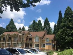 -武陵山森林公园