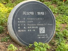 -中岳庙