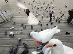 -六祖寺