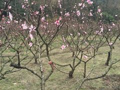 -东海大峡谷