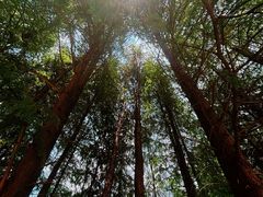 -洋湖国家湿地公园