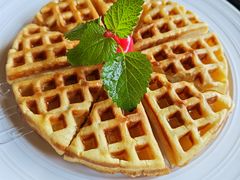 -OLD TREE老树咖啡·西餐厅(台山人工湖店)