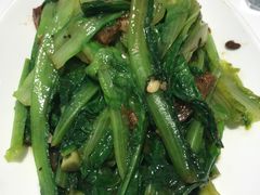 豆鼓鲮鱼炒油麦菜-至潮餐厅精致粤菜·活鲈鱼·走地鸡(珠江新城店)