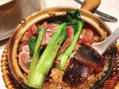 -肥仔文澳门猪骨煲(南京西路店)