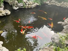 -鲤院·新中式美学·庭院餐厅(夫子庙店)