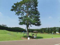 -迪茵湖田家舍生态农场