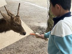 -海南热带野生动植物园