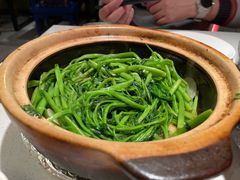 -煲煲好(朝阳门店)