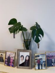 -美肤盾祛痘·问题肌头疗管理中心