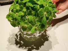 -炳胜私厨(万象前海店)