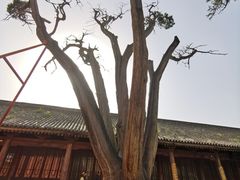 -韩城古城