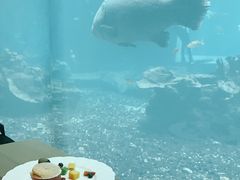 -海棠湾洲际-涛·海底餐厅·美人鱼·自助餐·海底隧道