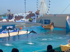 -秦皇岛乐岛海洋王国