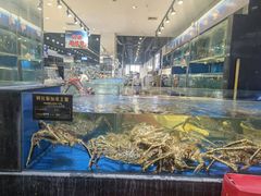 -神洲四海大酒楼(王府井澳门中心店)