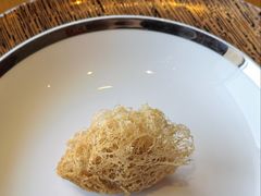 -广州富力君悦大酒店空中花园