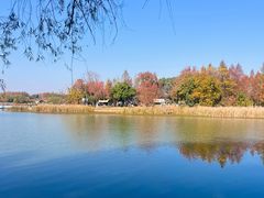 -东湖落雁景区