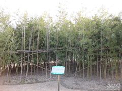 -白塘生态植物园