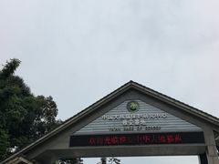 -中国大熊猫保护研究中心雅安碧峰峡基地