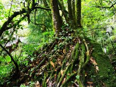 -西岭雪山大飞水景区