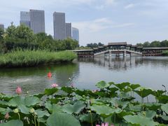 -西海子公园