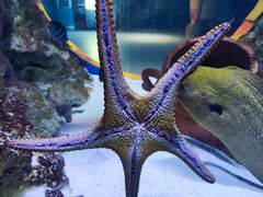 -海合安武汉极地海洋公园