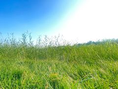 -天津东丽湖风景区