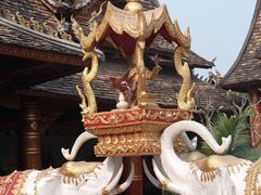 -西双版纳傣族园