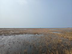 -野鸭湖国家湿地公园