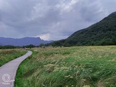 -大九湖