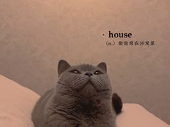 -德元·美联众合24小时动物医院(总院)