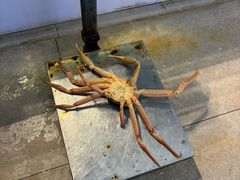 -驻海渔市(置信店)