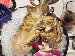 -海月轩海鲜豆捞(紫金塔店)