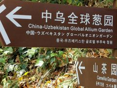 -昆明植物园