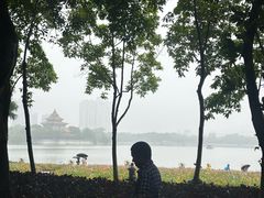 -顺峰山公园