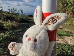 -大姆山草场