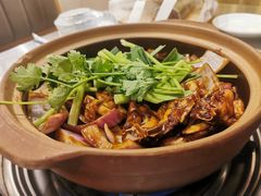 -胡须佬鸡煲四季火锅店(石厦西村直营店)