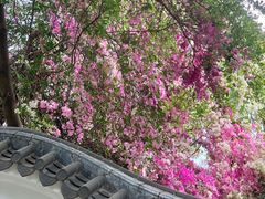 -深圳国际园林花卉博览园